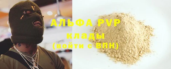 СК Алзамай