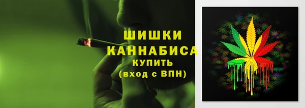 СК Алзамай