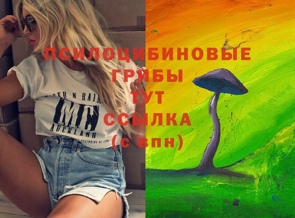 СК Алзамай