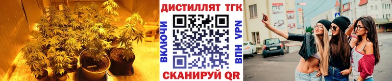 Купить где  Очёр  Дистиллят ТГК гашишное масло 