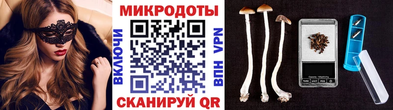 Псилоцибиновые грибы Psilocybine cubensis  Купить  Очёр 