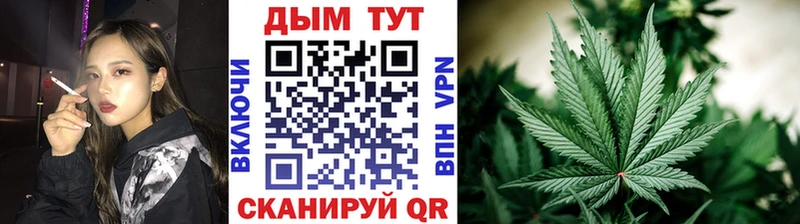 Конопля гибрид  Купить где  Очёр 